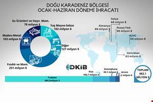 YILIN İLK YARISINDA DOĞU KARADENİZDEN 662 MİLYON DOLAR İHRACAT